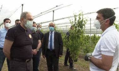 Ազատավան համայնք՝ ինտենսիվ այգիներ. Վարչապետը Արարատի մարզում է