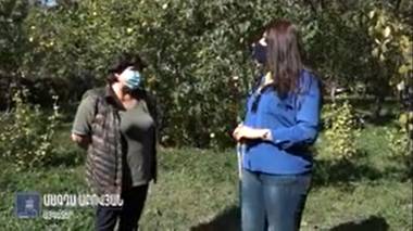 Բերքահավաք թիկունքում