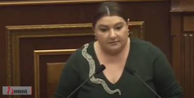 Ինչքա՞ն ժամանակ եք ԱԺ հետնամուտքով գաղտնագողի և ոստիկանների հսկողությամբ շենք մտնելու. Իվետա Տոնոյան