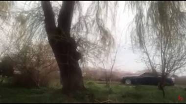 Ծառուկյանի որդու հարսանիքն է, «կալոնան» մոտեցավ Ծառուկյանի տանը