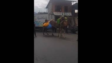 Մեղրի, մեր օրեր