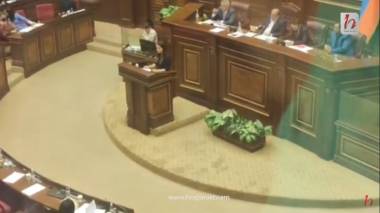 Ստացվում է`ոստիկանությունը մեր փոխարեն որոշել է մեր ազգությունը. ասորի պատգամավոր