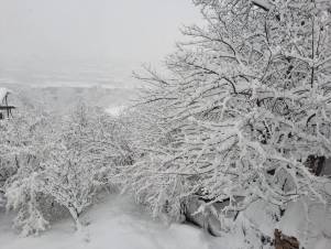 Արցախում ձյան շերտի հաստությունը հասել է 56 սմ-ի (տեսանյութ)