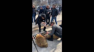 Առուշանյանի ազատ արձակման համար Գորիսում մատաղ են անում