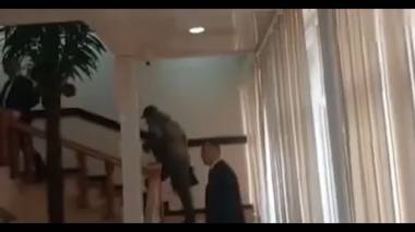 Նոր կադրեր Եվլախից